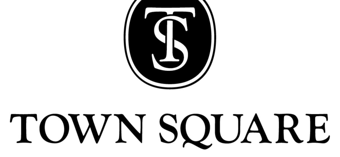 TS Logo